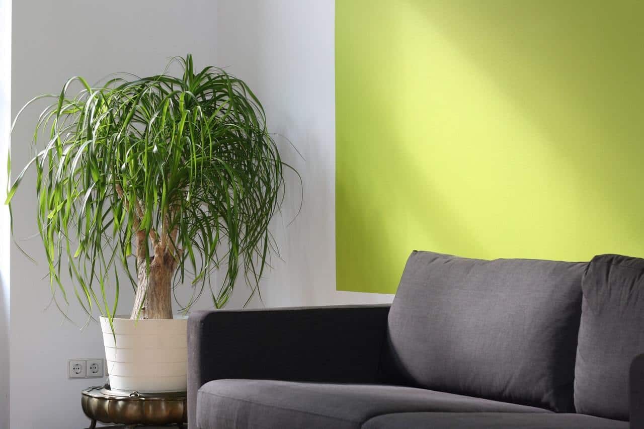 Kolor ścian w salonie – jaki wybrać?