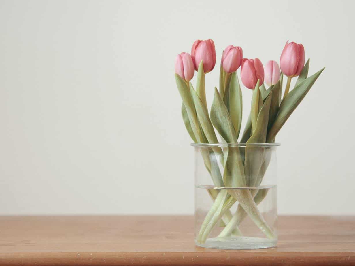 Kwiaty wiosenne – jakie warto mieć w swoim domu?
