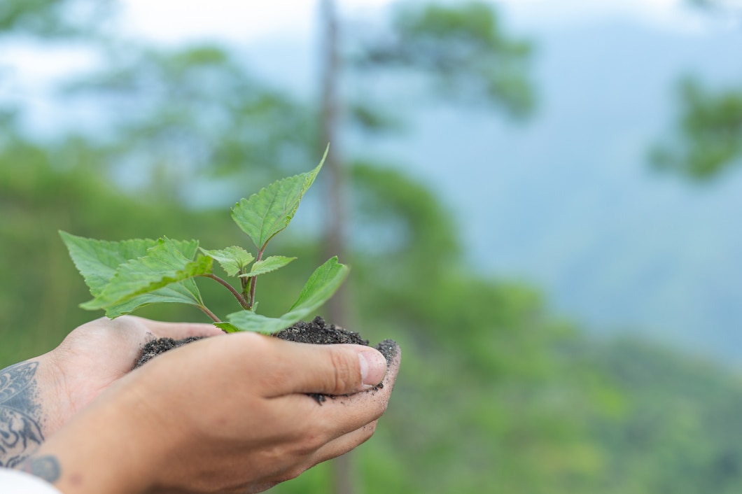 Inwestowanie w zieloną przyszłość – jak firmy mogą wspierać ochronę bioróżnorodności poprzez inicjatywy związane z sadzeniem drzew